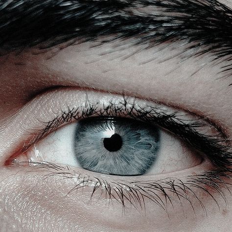 Eyes Aesthetic Male, Grey Eyes Aesthetic, Eyes Aesthetic, Grey Eyes, Grey Aesthetic, Sebastian Michaelis, House Stark, Infernal Devices, Gray Aesthetic