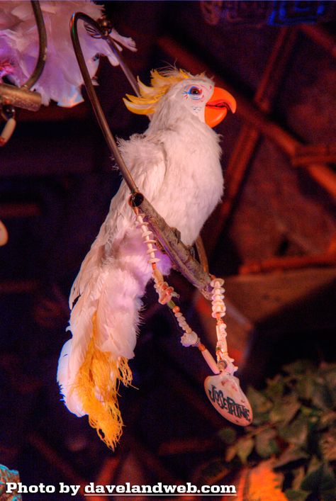 Disney Animatronics, Walt Disney's Enchanted Tiki Room, Disney Enchanted, Enchanted Tiki Room, Tiki Room, Peacocks, 50th Anniversary, Enchanted, Walt Disney