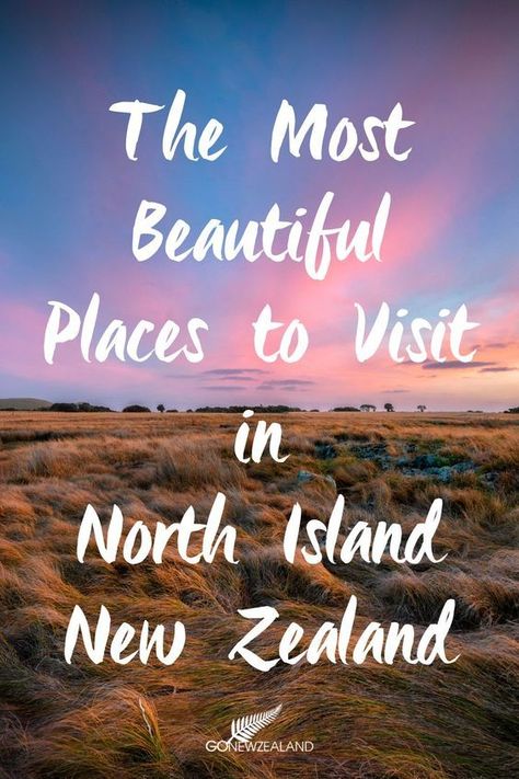 Road Trip New Zealand, New Zealand Itinerary, North Island New Zealand, New Zealand Adventure, Most Beautiful Places To Visit, New Zealand North, New Zealand Travel, Place To Visit, Incredible Places