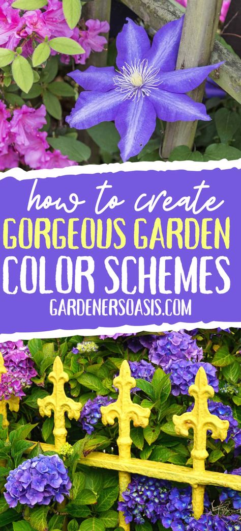 Garden Color Schemes (How To Create Gorgeous Garden Color Combinations) - Gardener's Oasis Garden Color Combinations, Patio Color Schemes, White Flowering Shrubs, Diy Garden Fountains, Purple Garden, Home Garden Design, Blue Garden, Plant Combinations, Garden Fountains