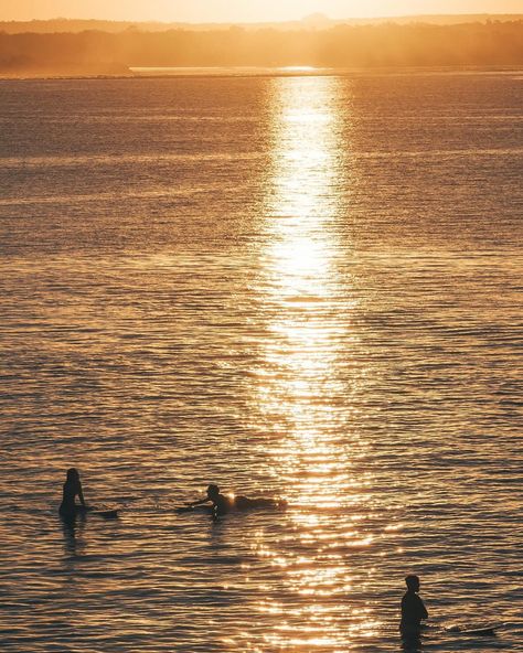 Sunset surf sessions at Little Cove 🌅 #noosa #visitnoosa #noosaaustralia #thisisqueensland #australia #sunshinecoast #travelphotography #travelblogger #condenasttraveller #filmlook Sunshine Coast Aesthetic, Noosa Beach, Noosa Beach Aesthetic, Noosa Australia, Australia Sunshine Coast, Orange Nsw Australia, European Cafe, Sunset Surf, Conde Nast