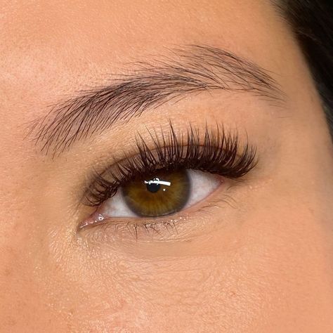 Have you ever gotten lash extensions and thought “they’re a little too dark?” And then maybe you tried hybrids then classics and still thought “they’re still a little dark?” Well then you need to try some 𝙗𝙧𝙤𝙬𝙣 𝙡𝙖𝙨𝙝 𝙚𝙭𝙩𝙚𝙣𝙨𝙞𝙤𝙣𝙨! I had a few clients struggling with the exact look they wanted with lashes but once we transitioned into brown, they were SOLD. I mean, look how cute they are! Still the same dark base but the soft brown tips really help compliment lighter eyes. What do y’all think?!... Classic Full Set Lashes, Dark Brown Lash Extensions, Soft Lash Extensions, Classic Lash Extensions Styles, Classic Hybrid Lashes, Brown Lash Extensions, Hybrid Lash Extensions, Lashes Classic, Classic Lash Extensions