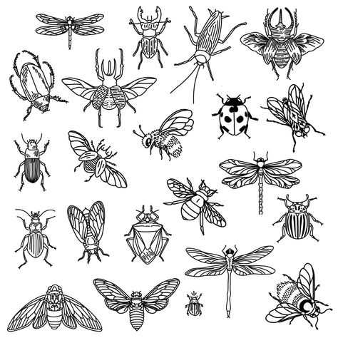 Tattoo Stencil Designs, Ink Therapy, Lady Bug Tattoo, Bug Tattoo, Insect Tattoo, Bug Art, Illustration Blume, Tattoo Portfolio, Minimalist Tattoos