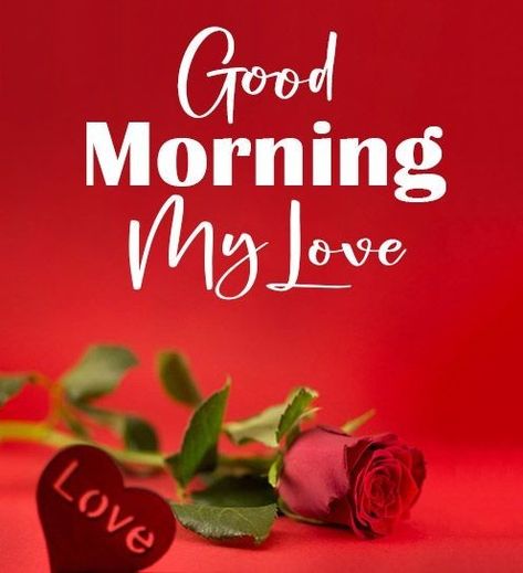 Good Morning My Love Quotes, Morning My Love Quotes, Good Morning Wishes Love, My Love Quotes, Romantic Good Morning Quotes, Romantic Good Morning Messages, My Husband Quotes, Good Morning Love Gif, Love Good Morning