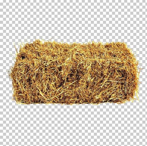 Doll Backgrounds, Bus Skin Design, Cowboy Theme Party, People Cutout, Easter Cards Handmade, Straw Bales, Straw Bale, Cartoon House, Hay Bales