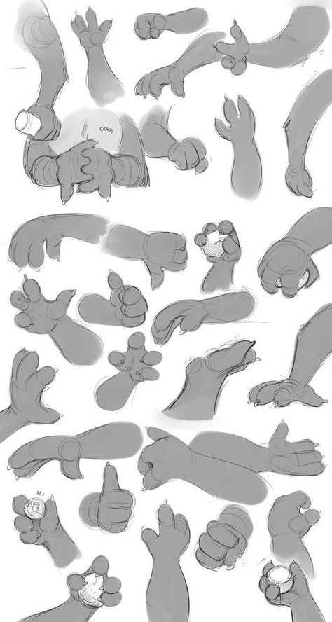 Otter Paws, Hand Drawing Practice, Sausage Fingers, Hand Studies, Hand Tutorial, Paw Drawing, Cat Drawing Tutorial, Výtvarné Reference, Seni 2d