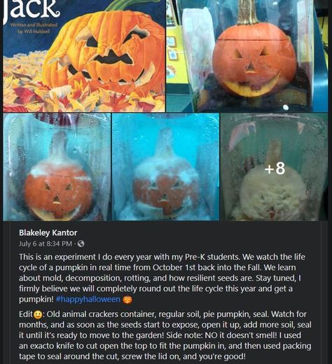 Oct 1st, put pumpkin in sealed jar. By next october, you'll have a pumpkin plant. Children get to see the entire life-cycle of plants. Pumpkin Art Project, Pumpkin Plant, Dr Seuss Preschool, Pumpkin Unit, Pumpkin Life Cycle, Plants In Jars, Planting Pumpkins, October Activities, Oct 1st