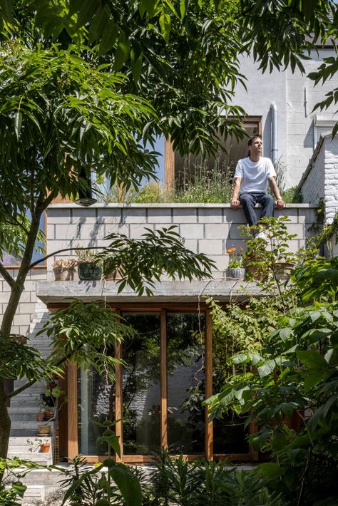 Urban Garden: A Row House in Ghent Gets a Stunning Makeover, Complete with Green Roof Gardening Trends, Perennial Shrubs, Planting Hydrangeas, Garden Animals, Landscape Architecture Design, Garden Architecture, Row House, Public Garden, Garden Tours