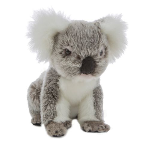 Koala Stuffed Animal, Koala Plush, Australian Gifts, Baby Koala, Animal Sanctuary, Australian Animals, Small Baby, Stuffed Toys, Bear Toy