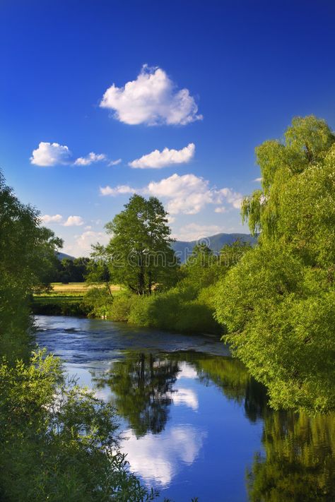 Reflection in the River. Landscape with blue sky and tree reflecting in the wate , #spon, #Landscape, #blue, #Reflection, #River, #reflecting #ad 숲 사진, Blue Reflection, Landscape Blue, Blue Landscape, River Landscape, Sky Tree, Landscape Photography Nature, Beautiful Places Nature, Beautiful Scenery Nature