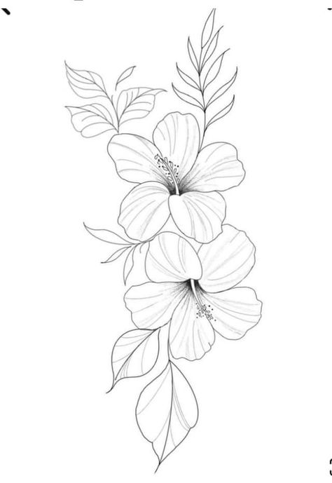 Tattoo Designs Traditional, Plumeria Flower Tattoos, Tropical Flower Tattoos, Flower Vine Tattoos, Flower Tattoo Stencils, Hawaiian Flower Tattoos, Hibiscus Flower Tattoos, Lily Flower Tattoos, Rose Drawing Tattoo