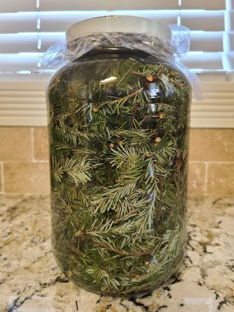 White Vinegar Cleaning, Pine Sol, Infused Vinegars, Homemade Nachos, Christmas Jam, Cheesecake In A Jar, Vegetable Steamer, Food Gardening, Diy Cleaning Solution