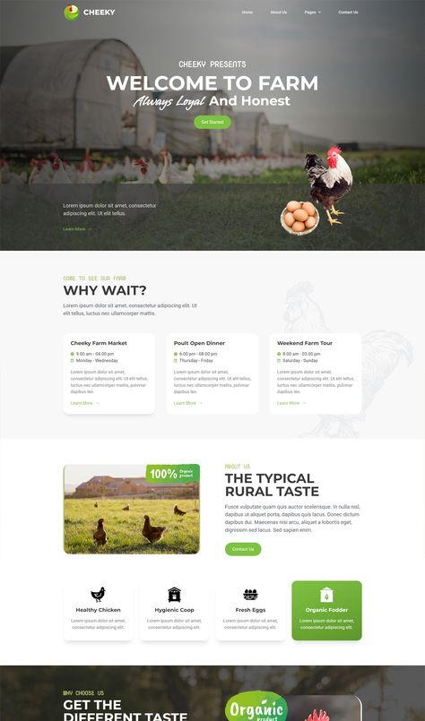 Poultry Farm Elementor Template Kit Chicken Website Design, Farm Website Design, Bird Branding, Farm Websites, Innovation Illustration, Outline Typography, Meat Branding, Organic Illustration, Farm Website