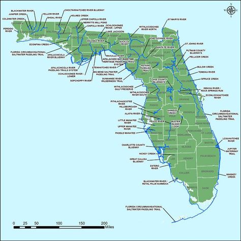 A map showing Florida's designated paddling trails Paddle Boarding Florida, Estero Florida, Forest Paths, Florida Project, Florida Trail, Florida Vacation Spots, Fall Scenery, Canoe Camping, Florida State Parks