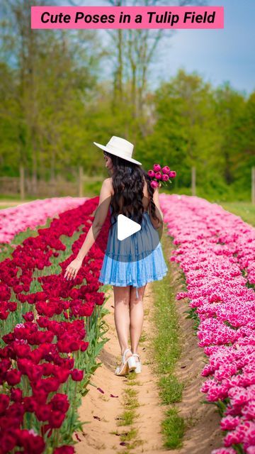 Kriti Kushwaha | Travel & Posing on Instagram: "3 cute poses to try in a Tulip Field.💐 Which one’s your favorite?💖  Like and follow @wanderesskriti for more tips and tricks.💕   Outfit linked in the bio.👗 Follow my shop on the LTK app to shop this post and get my exclusive app-only content! Link in bio.🤗  #howtopose #posingtips #posingideas #posing #photoshoot #photoshootideas #posingforthecamera #reelsinstagram #creativity #poseideas #photoposes #tipsandtricks #phototips #posesforpictures #trending" Posing Photoshoot, Poses To Try, Tulip Field, Tulip Fields, Posing Tips, Cute Poses, Photo Tips, Poses For Pictures, Photo Poses