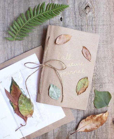 Nature Journal Kids, Nature Journal Prompts, Nature Journal Ideas, Diy Nature Journal, Botany Study, Journal For Beginners, Diy Nature, Journal Nature, Nature School