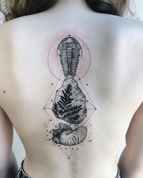 Trilobite, fossilized fern, and crystallized ammonite shell! Thanks Chloe! Trilobite Tattoo, Geology Tattoo, Pony Reinhardt Tattoo, Pony Reinhardt, Science Tattoo, Ammonite Shell, Dinosaur Tattoos, Baby Tattoos, Tattoos Gallery