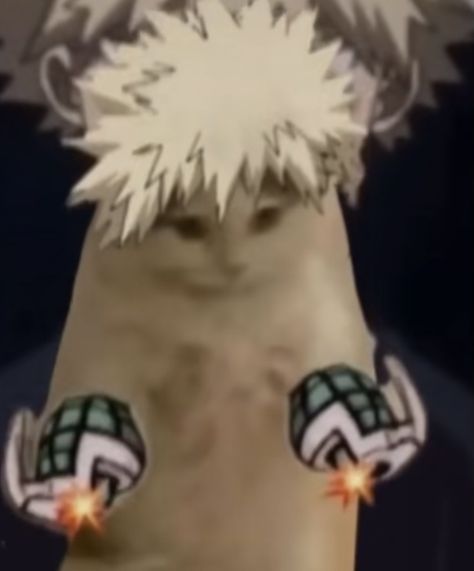 Angry Pomeranian Bakugo, Pomeranian Bakugou, Bakugo Pomeranian, Bakugo Angry, Angry Bakugou, Angry Pomeranian, Tenya Iida, Dog Filter, Bakugo Katsuki