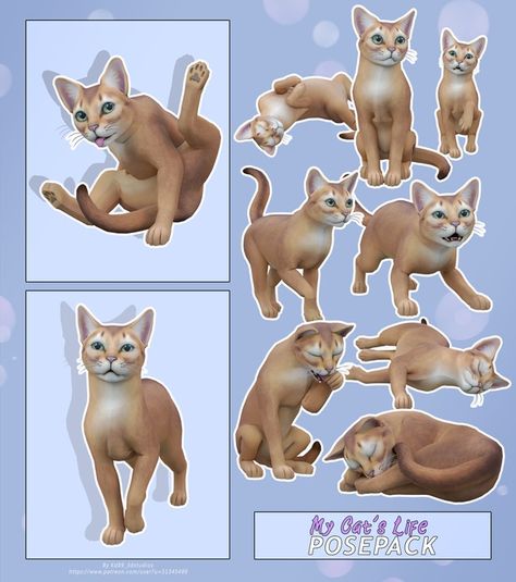 KD89 | bietet costume Content for blender | Patreon Sims 4 Curly Hair, Sims 4 Poses, Cat Poses, Walking Poses, Dog Model, Pelo Sims, Dog Poses, Cat Model, Cat Pose