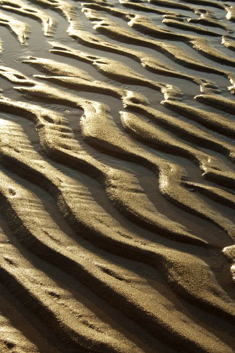 Sand and Wind Sand Textures, Natural Structures, Texture Inspiration, Gold Sand, Organic Pattern, Visual Texture, Natural Forms, Foto Inspiration, Color Stories