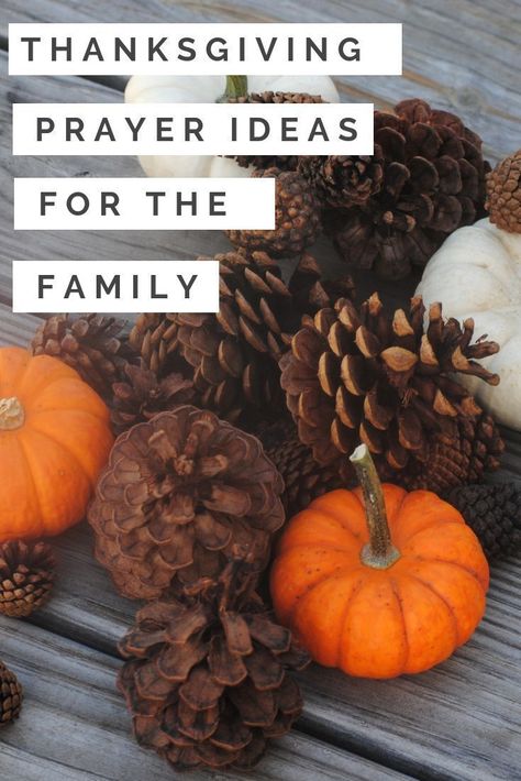 Thanksgiving Prayers For The Family #thanksgiving #prayers Thanksgiving Dinner Prayer, Thanksgiving Prayers For Family, Thanksgiving Prayers, Thanksgiving Play, Fruit Kabob, Dinner Prayer, Thanksgiving Countdown, Prayer Ideas, Thanksgiving Prayer