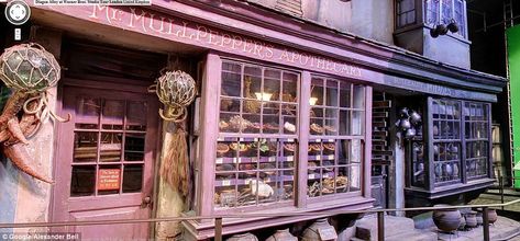 Mr. Mulpepper's Apothecary is a shop in Diagon Alley that sells potion ingredients and Potion Kit Bags, as well as Cleaning Solutions & Restorative Draughts. Another of Mulpepper's shops is located in Knockturn Alley. Hogwarts Great Hall, Harry Potter Diagon Alley, Harry Potter Owl, Harry Potter Studio Tour, Warner Bros Studio Tour, Warner Bros Studio, Harry Potter Studios, Hp Harry Potter, Harry Potter Food