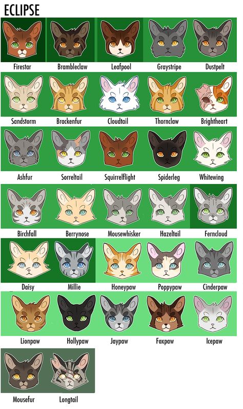 Warrior Cats Clans, Warrior Cat Memes, Warrior Cats Comics, Teacup Cats, Warrior Cats Series, Warrior Cats Fan Art, Warrior Cat Drawings, Love Warriors, Warrior Cats Art