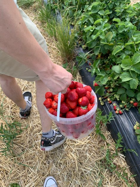 Date Ideas For New Couples Aesthetic, Strawberry Picking Date, Strawberry Picking Pictures, 40s Aesthetic, This Must Be My Dream, Vintage Americana Aesthetic, 50s Aesthetic, Boyfriend Instagram, Berry Picking