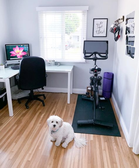 Office And Workout Room Combo, Home Office Gym Combo, Office/workout Room, Peloton Room Ideas, Peloton Room, Home Office And Gym, Home Gym Ideas Small, Home Office/gym, Small Home Gym