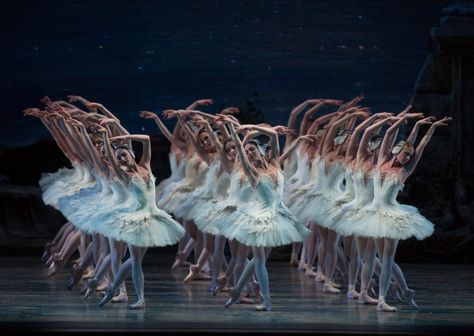 Teach Dance, Australian Ballet, All About Dance, American Ballet Theatre, Ballet Theater, Lake Photos, Metropolitan Opera, Ballet Beautiful, Art Organization