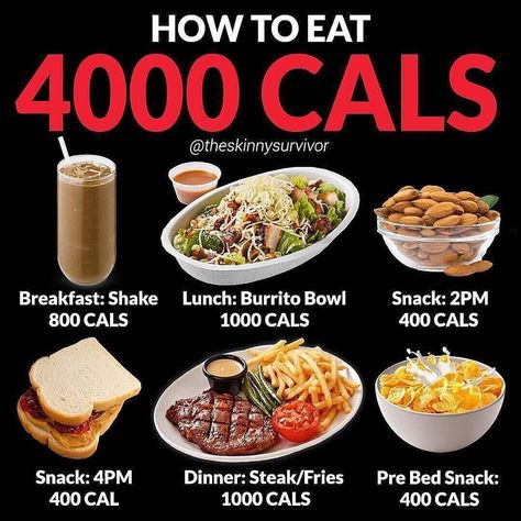 4000 Calories, Healthy Weight Gain Foods, Food To Gain Muscle, Weight Gain Diet, Weight Gain Meals, Best Diet Foods, Calorie Meal Plan, Healthy Weight Gain, High Calorie Meals