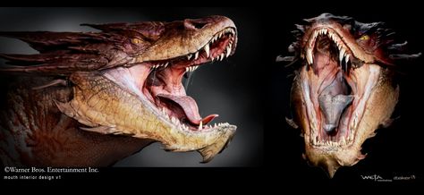 the Hobbit - Smaug Dragon Mouth, Smaug Hobbit, Smaug Dragon, Hobbit Desolation Of Smaug, Art Dragon, The Hobbit Movies, Desolation Of Smaug, Monster Design, Creature Concept