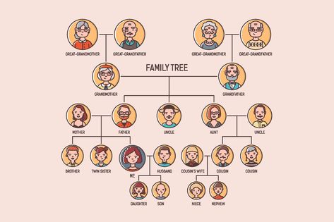 Family Tree Illustration, Family Tree Graphic, Family Tree Designs, Custom Family Tree, Family Tree Template, Adobe Illustrator Graphic Design, Line Art Illustration, Family Illustration, Tree Illustration