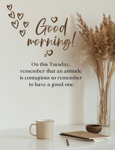 #TuesdayThoughts #StayInspired Tuesday Captions, New Week Quotes, A Positive Thought, Weekly Quotes, Tuesday Quotes Good Morning, Motivational Quotes For Work, Quotes For Work, Good Morning Post, Tuesday Quotes