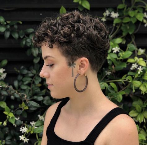 Undercut With Highlights, Pixy Haircuts For Curly Hair, Curly Crop Haircut, Pixie Hair Curly Styles, Undercuts For Curly Hair, Short Permed Pixie Haircuts, Curly Pixy Haircut, Short Pixie For Curly Hair, Extremely Short Curly Hair