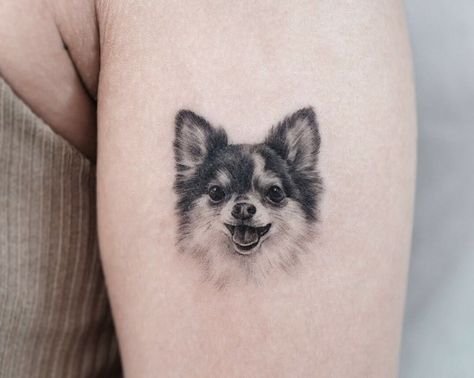 For those looking for a chihuahua tattoo, here are many incredible tattoo styles and images for you to choose from! Apollo Tattoo, Chihuahua Tattoo, Pet Memorial Tattoo, Pet Tattoos, Dog Memorial Tattoos, Phrase Tattoos, Paw Tattoo, Silhouette Tattoos, Incredible Tattoos