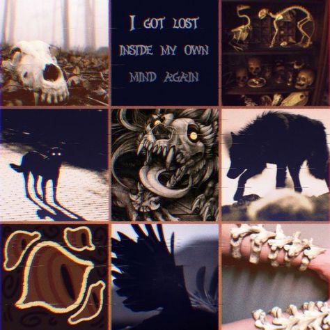 Moodboards Character Inspiration, Moodboard Character Inspiration, Moodboard For Character Design, Crow Moodboard, Character Moodboard Aesthetic, Insect Moodboard, Deer Moodboard, Animal Mood Board, Scary Moodboard