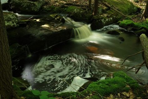 You will want to visit the several undisturbed gorgeous ponds and rivers within the forest borders. You can also see other eye-catching sights such as babbling brooks, small waterfalls, and swamps. You will want to bring your camera to take as many pictures as you can. Fairytale Places, Small Waterfalls, Connecticut Travel, Surf Turf, Cool Places, New England Travel, Mountain Forest, Small Waterfall, Ancient Forest