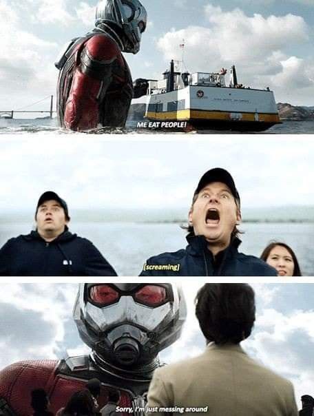 Ant Man Scott Lang, Ant Man And The Wasp, Funny Marvel, The Wasp, Funny Marvel Memes, Paul Rudd, Dc Memes, Avengers Memes, Avengers Infinity