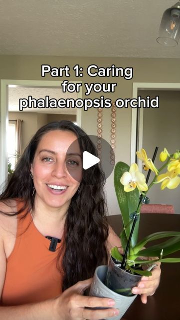 Krystal Duran on Instagram: "My mission is to keep your orchids thriving 🙌🏽  Orchid care is my number one asked about plant and care. I would say, once you get the hang of it, it’s easy, but it can feel intimidating for many.   Part one, is the intro and how to enjoy the plant when you receive. Part two will focus on maintenance after.   Stick around for part 2, consider following along for more planty tips if you haven’t already, and leave any questions down below!  #orchidcare #orchidplant #phalaenopsisorchid" How To Take Care Of An Orchid, How To Take Care Of Orchids Plants, How To Care For Orchids Indoors, Orchid Wall, Phalaenopsis Orchid Care, Hanging Orchid, Orchid Plant Care, Moss Balls, Peace Lily