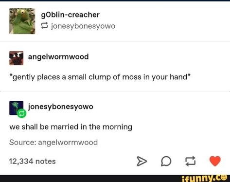 Funny Textpost, Morning Pic, Funny Tumblr, Goblin Core, Funny Tumblr Posts, Hozier, What’s Going On, Text Posts, Tumblr Funny