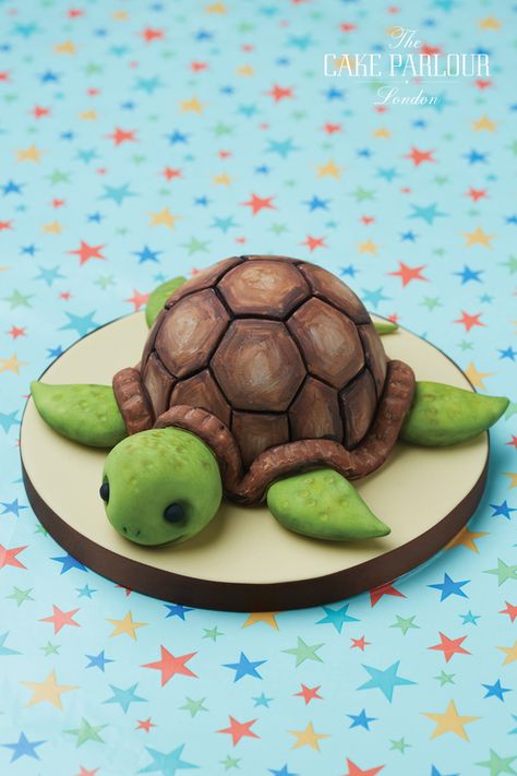 Celebration Cakes Birthday, Sea Turtle Cake, Turtle Birthday Cake, Christening Cakes, Yoghurt Cake, Turtle Cake, Sea Cakes, Turtle Birthday, Animal Cakes