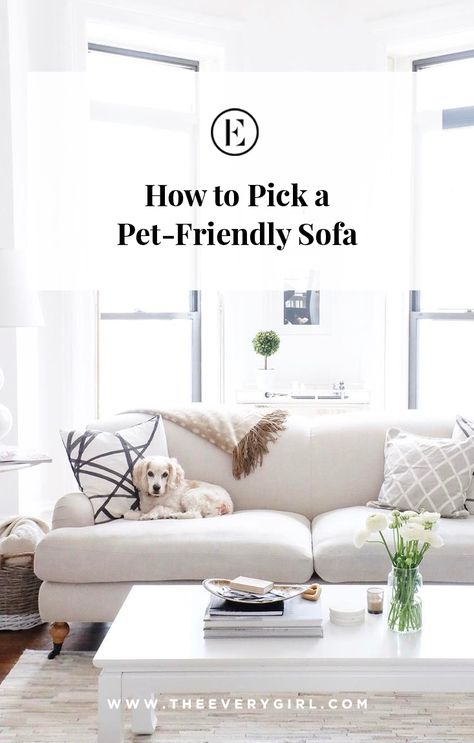 The Best Pet-Friendly Sofas | The Everygirl Pet Friendly Living Room, Dog Friendly Furniture, Couch Material, Pet Friendly Furniture, Apartment Pet, Trendy Sofas, Couches Living, Dog Couch, Cool Couches