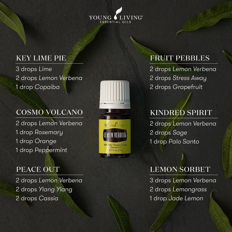 Young Living Education’s Instagram profile post: “You are going to fall in love the lemony fresh and slightly herbaceous scent of our brand-new Lemon Verbena essential oil! Here are some of…” Fruit Pebbles, Lemon Verbena Essential Oil, Cassia Essential Oil, Essential Oil Diffuser Blends Recipes, Young Living Essential Oils Recipes, Essential Oils Guide, Lime Essential Oil, Lemon Sorbet, Essential Oils Cleaning