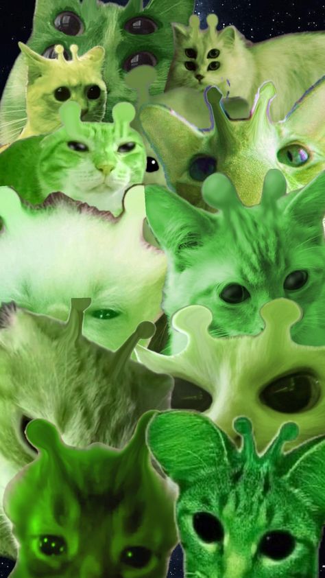 gnarp gnarp (this took me 5 seconds) | #gnarpy #gnarp #gnarpgnap #gnarpgnarp #greencat #greenaliencat #car #cutecar Boy Why You So Gnarp Gnarp, Gnarly Wallpaper, Gnarpy Wallpaper, Gnarpy Pfp, Alien Core, Gleep Glorp, Alien Wallpaper, Gnarp Gnarp, Alien Animals