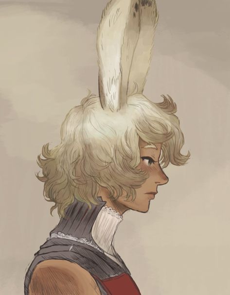 Male Viera, Female Rabbit, Final Fantasy Art, Fantasy Male, Motivational Art, Final Fantasy Xiv, High Fantasy, Character Ideas, Illustration Character Design