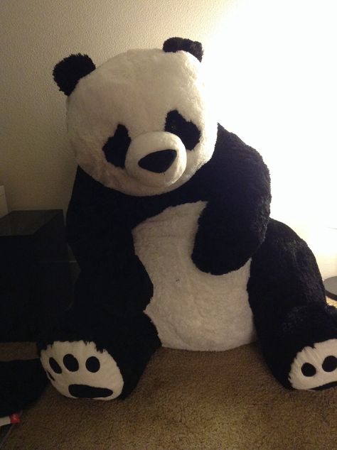 36" stuffed panda from Costco Panda Teddy Bear, Panda Stuffed Animal, Big Stuffed Animal, Big Panda, Big Teddy Bear, Big Teddy, Giant Teddy Bear, Giant Teddy, Monkey Stuffed Animal