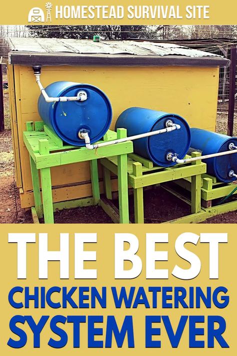 Chicken Watering System, Prepping For Beginners, Chicken Waterer, Backyard Chicken Coop Plans, Chicken Coup, Diy Chicken Coop Plans, Backyard Chicken Farming, Chicken Garden, Watering System