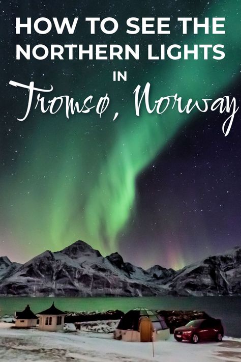 The best places to see the Northern Lights in Tromso, Norway Tromso Norway Northern Lights, Tromsø Aesthetic, Iceland Cruise, Northern Lights Travel, Norway Northern Lights, Alta Norway, Tromsø Norway, Norway Cruise, Tromso Norway