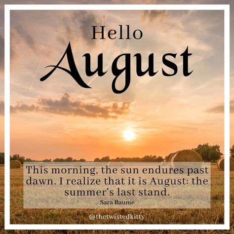 Hello August. Wow that came around quick! "This morning, the sun endures past dawn. I realize that it is August: the summer's last stand" - Sara Baume Wishing everyone a happy month ahead with lots of fun, laughs and special memories. #august #newmonth #sarabaume #quotes #quotesoftheday #helloaugust #summer #summervibes #summerholidays Hello August, Last Stand, New Month, This Morning, Summer Vibes, The Sun, Sun, Quotes